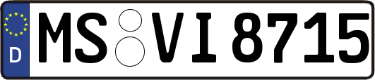 MS-VI8715
