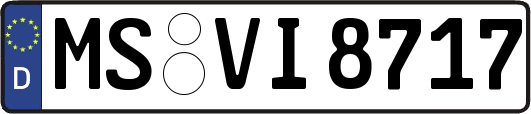 MS-VI8717