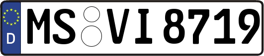 MS-VI8719