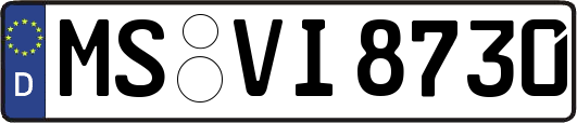 MS-VI8730