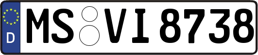 MS-VI8738