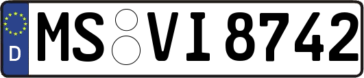 MS-VI8742