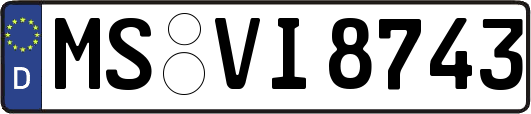 MS-VI8743
