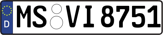 MS-VI8751