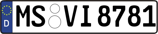 MS-VI8781