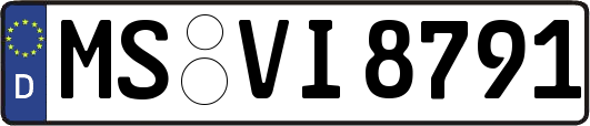 MS-VI8791