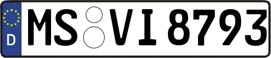 MS-VI8793