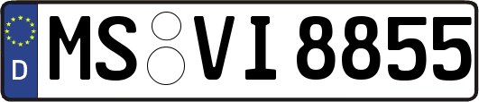 MS-VI8855