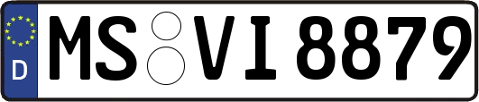 MS-VI8879