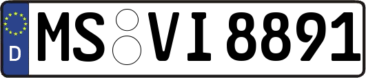 MS-VI8891