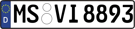 MS-VI8893