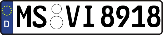 MS-VI8918