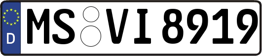 MS-VI8919