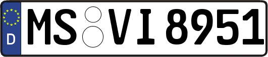 MS-VI8951