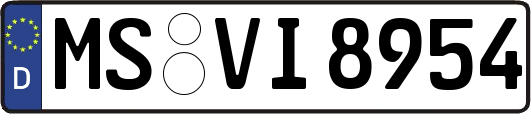 MS-VI8954