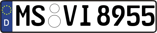 MS-VI8955