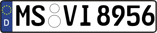 MS-VI8956