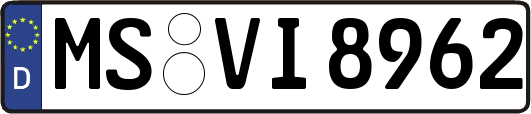 MS-VI8962