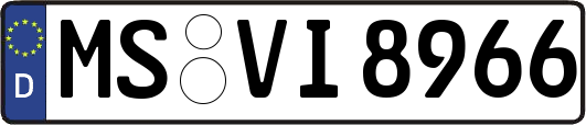 MS-VI8966