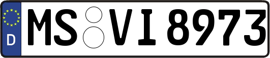 MS-VI8973