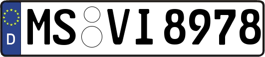 MS-VI8978