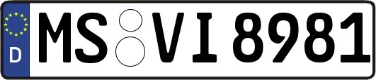 MS-VI8981