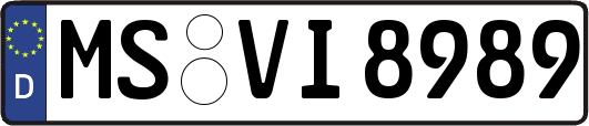 MS-VI8989