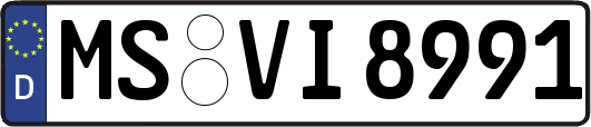 MS-VI8991