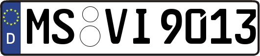 MS-VI9013