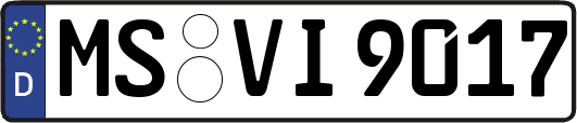 MS-VI9017