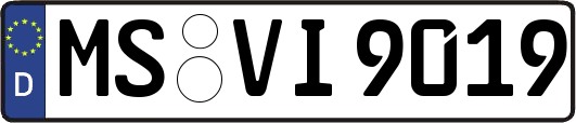 MS-VI9019
