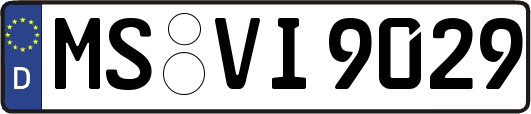 MS-VI9029