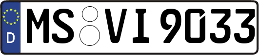 MS-VI9033