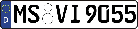 MS-VI9055