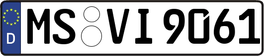 MS-VI9061