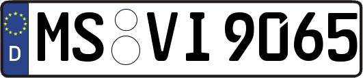 MS-VI9065
