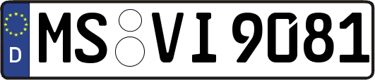 MS-VI9081