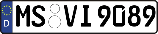 MS-VI9089