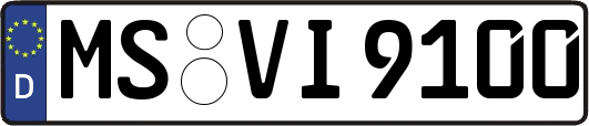 MS-VI9100