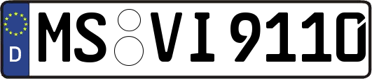 MS-VI9110