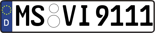 MS-VI9111