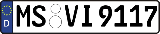 MS-VI9117