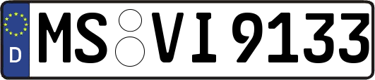 MS-VI9133