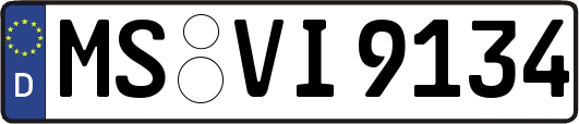 MS-VI9134