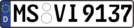 MS-VI9137