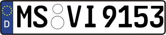 MS-VI9153