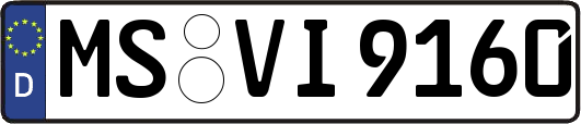 MS-VI9160