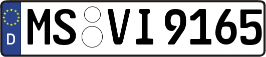 MS-VI9165