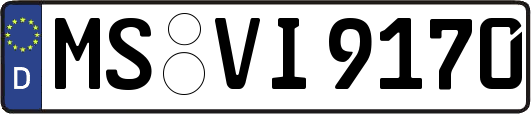 MS-VI9170