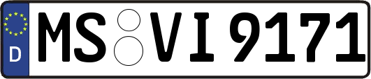 MS-VI9171